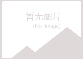 大同城晓夏工程有限公司